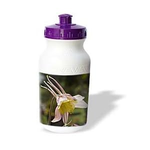 Hybrid Water Bottles