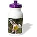 VWPics Flowers - Columbine hybrid.(Aquilegia sp.). - Water Bottles