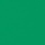 Rosco Roscolux Chroma Green, 20 x 24 Color Effects Lighting Filter