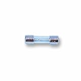 Slow Blow Time Delay Glass Fuse 800MA 20mm x 5mm x 10 Pack