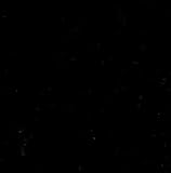 Cotton Broadcloth Black