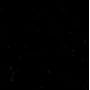 Cotton Broadcloth Black