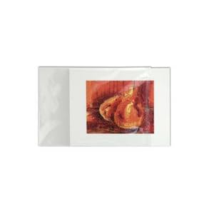 Krystal-Seal-Art-and-Photo-Bags-25-Pack-16x20-