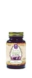 Genesis Today-Caralluma Fimbriata, 800mg, 60 Vegetarian Capsules, (As Seen On The View and Recommended Dr. Lindsey Duncan)
