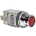 Idec ALFD29920DN-G-24V Switch Push Button