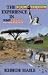 Book The Ethiopian Experience in America