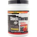 Shock Therapy Wild Punch Kicker 2.22 lbs