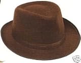 Brown Child Kid Felt FEDORA HAT explorer costume