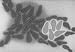 Classic Early Warning Signs of Cancer Film, This Encyclopedia Britannica film is for adults, covering the warning signs of cancer, how cancer is treated, and dispelling some old wives' tales about it, such as that it only affects old people or that it is hereditary.