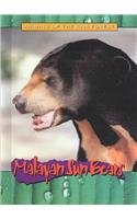 Malayan Sun Bears (Animals of the Rain Forest) [Library Binding]