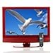 GPX 22" LCD HDTV with Built-In DVD Player