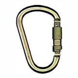 Steel Carabiner, 1