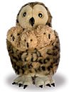 Childrens Toyshop  Toys : Tawny Owl with Three Babies Puppet [Toy]