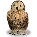 The Puppet Company Hide-Away Puppets Tawny Owl with 3 Babies