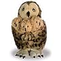 Tawny Owl with Three Babies Puppet [Toy]