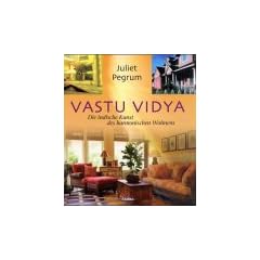 Vastu Vidya