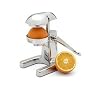 Grunwerg Small Fruit Juicer