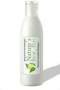 All Natural Lavender Flea Shampoo for Dogs 16 oz. Refill