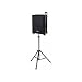 Brass Lectern Lamp (APLS1100GD) Image