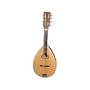 Mandolin
