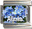 Clearly Charming Alaska State Flower Forget-me-not Italian Charm Bracelet Link