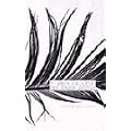 The Snow Goose; And The Small Miracle (Essential Penguin)