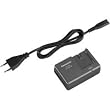 Panasonic VW-AD21-K AC Adapter for Compatible Panasonic Camcorders