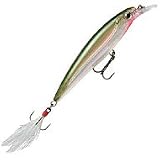 Rapala(��ѥ�) X-RAP OG(���꡼�֥��꡼��) XR8 XR8