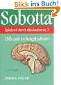 Spielend durch die Anatomie, Lernkarten, Tl.3, ZNS und Leitungsbahnen, 126 Lernkarten