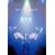 Best of DEEN �L�Z�L<LIVE COMPLETE> [DVD]
