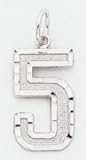 Large #5 Charm - WLN05