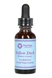 Yellow Dock (V) 1 oz - Herbal Blood Cleanser, Liver Tonic