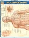 Acupressure: Reference Guide (Quickstudy: Academic)