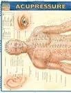 Acupressure: Reference Guide