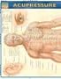 Acupressure (Quick Study Academic Outline)