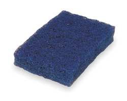 Tough Guy 2NTG9 Scouring Pad, Blue, PK 20