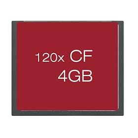 4GB 4 GB CompactFlash CF Memory Card Turbo High Speed 120x for CANON Digital Camera EOS/PowerShot 1D Mark II/N/III 1Ds Mark II/III 5D Mark II 7D 20D 40D 300D 350D 400D Digital Rebel XT XTi / NIKON SLR D2H D3 D100 D700 / SONY DSLR A100 A200 A900 - by First Champion