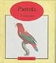 Parrots (Exotic Miniature)