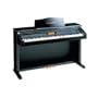 Casio Digital Piano AL150R