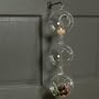Double Hook Hanging Terrarium (Plants Not Included)