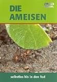 Eigenschaften Komplett Video  / Die Ameisen - Selbstlos bis in den Tod