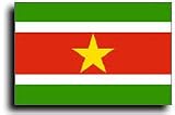 Suriname - World Flags