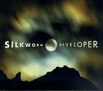 Developer