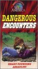 Dangerous Encounters (Marty Stouffer's Wild America)