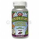 Jurassic Echinacea 75mg - 45 - Chewable