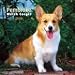 Pembroke Welsh Corgis 2009 Wall Calendar