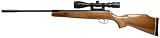 Remington Summit Combo Air Rifle air rifle