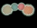 Play Visions Mondo 65 mm Hyper-Flex Glow In The Dark Stretchy Inside-Out Ball (Sold Individually)