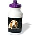 Guinea Pig - Guinea Pig - Water Bottles