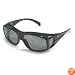 Birdz Eyewear The Beak - Glossy Black Frame Great 